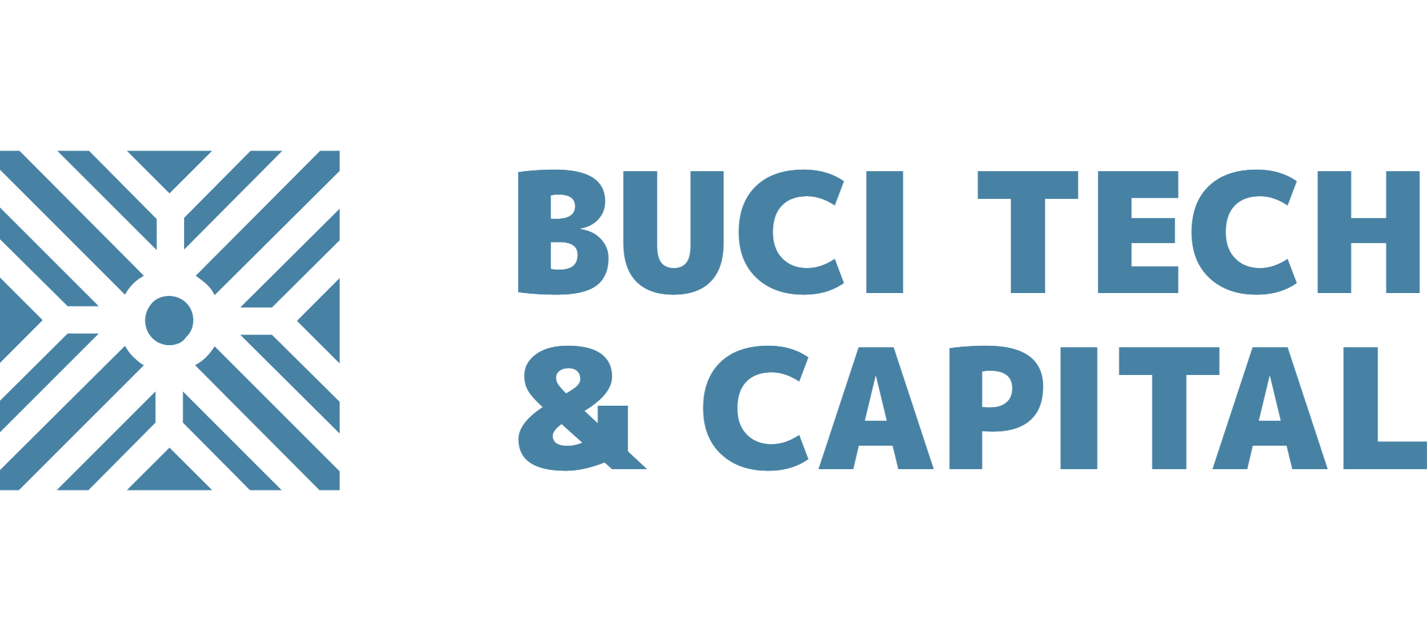 BUCI TECH & CAPITAL LLC